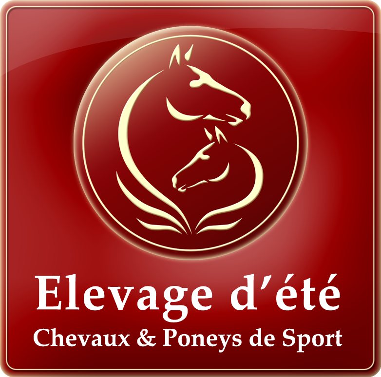 Les étalons disponibles en frais à l'élevage d'été