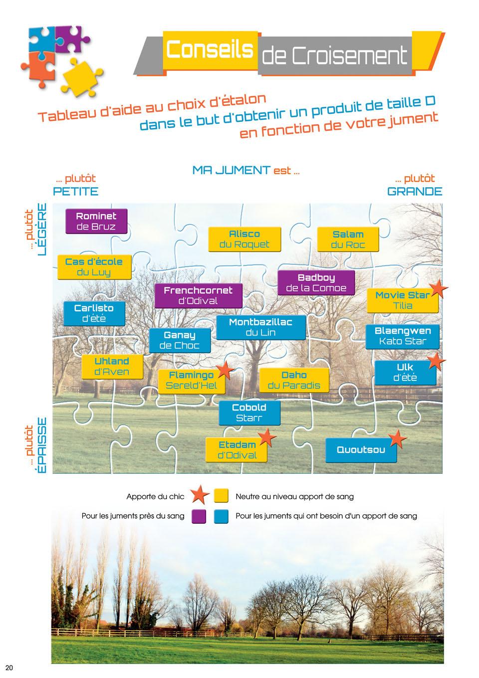 Tableau d'aide au croisement