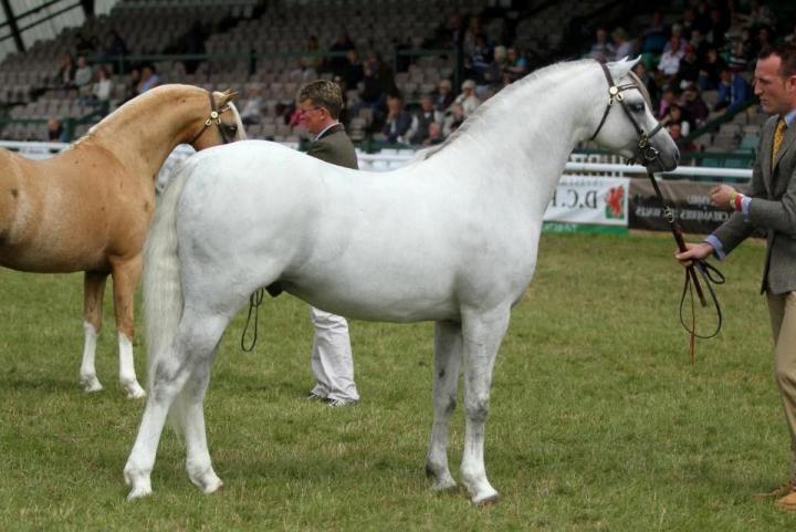 Adagio de l'Aurore
