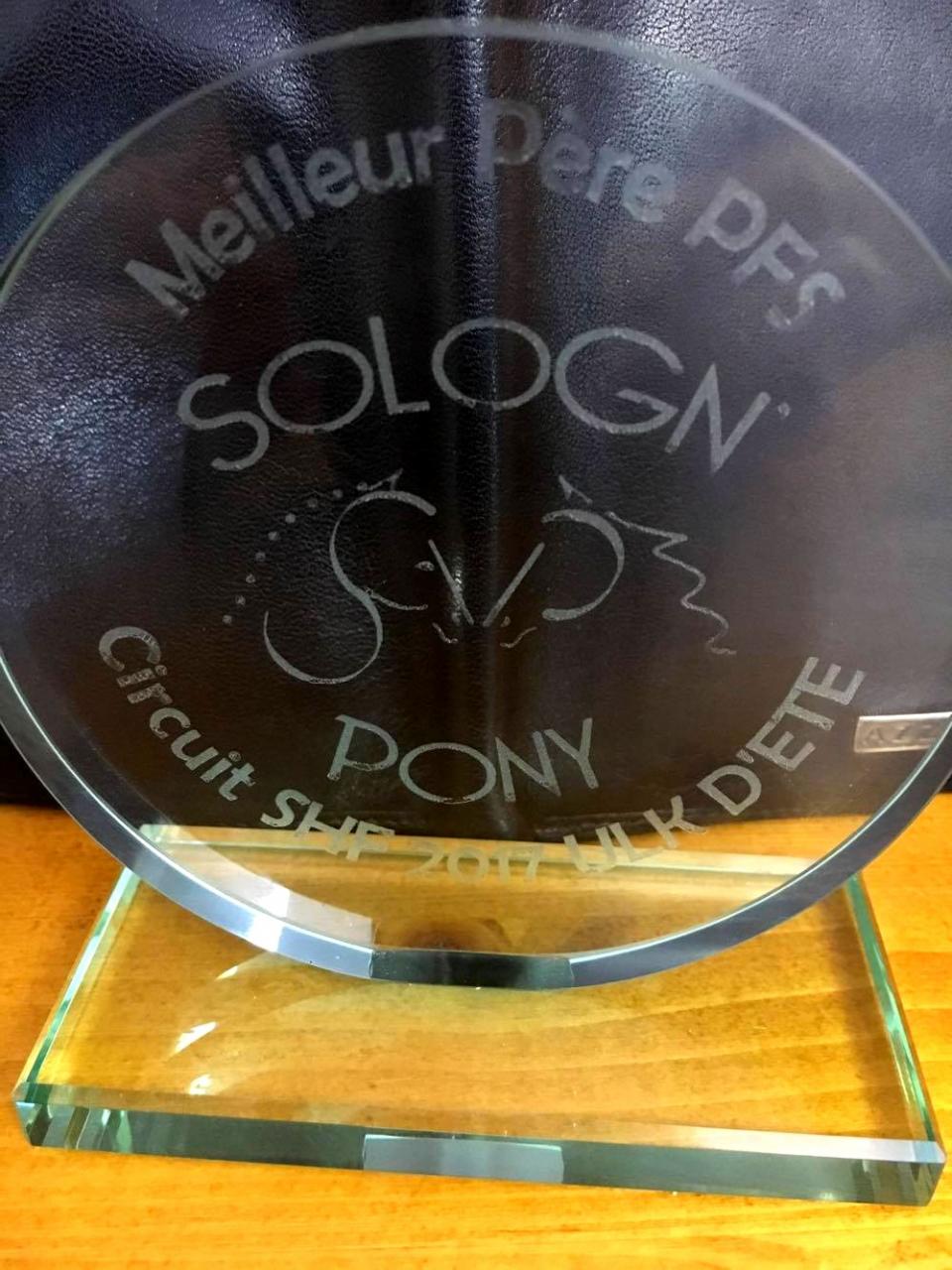 Ulk d'été*Pony Planet sacré meilleur père PFS de jeunes poneys 2017