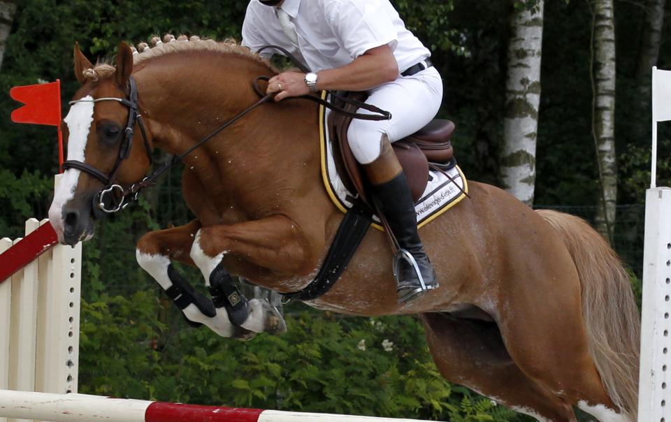 Ulk d'été au Haras des Bréviaires