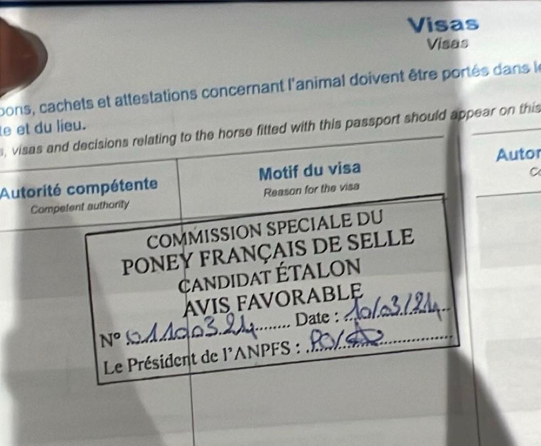 Kamaki de Blonde obtient son agrément PFS