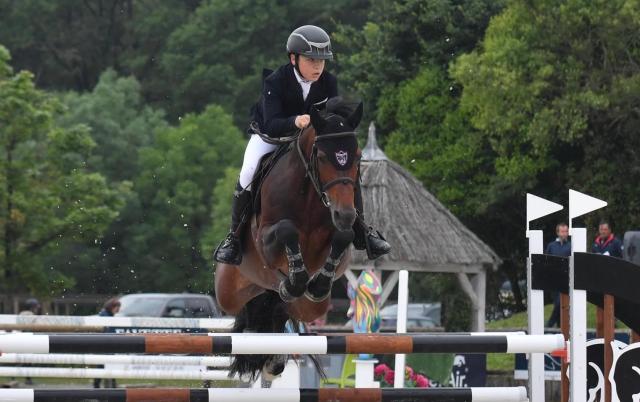 Frenchcornet d'Odival